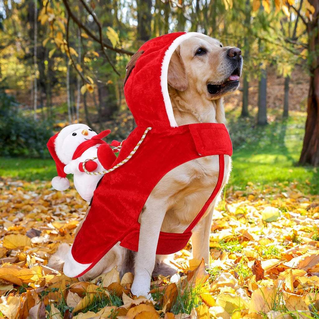 Santa Dog Costume, Dog Christmas Outfit, Santa Rider Costume, Size L